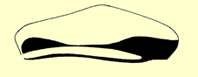 Kappe